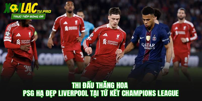 Thi Đấu Thăng Hoa, PSG Hạ Đẹp Liverpool Tại Tứ Kết Champions League